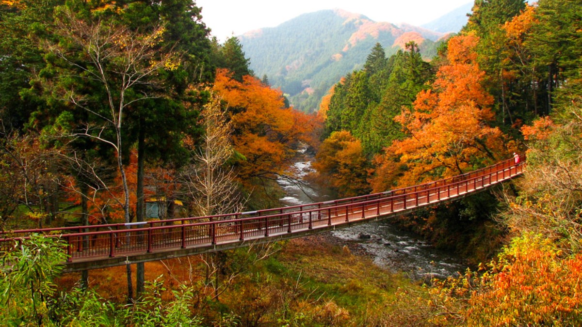 東京紅葉預測2023｜7大東京紅葉名所＋賞楓最佳時期秋季限定絕美秘境