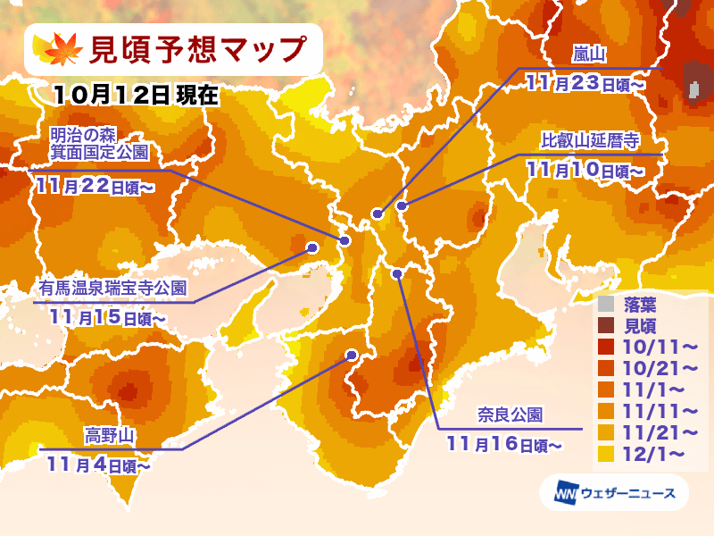 京都紅葉時間預測2024｜秋天10大紅葉景點/活動！夜間點燈＋賞夜楓秘景