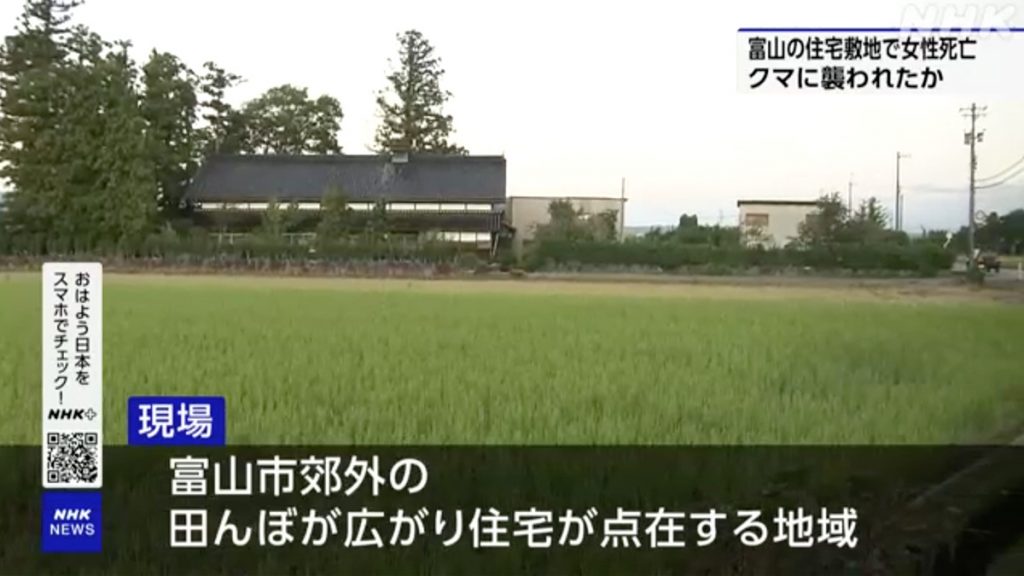 日本富山縣可怕事件：70歲女性 懷疑被侵入住宅範圍的熊打死