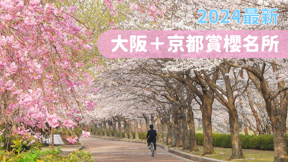 大阪京都櫻花2024