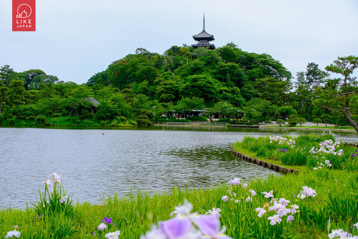 橫濱微奢自由行攻略｜探索道地美食天堂x五星級住宿的絕妙組合