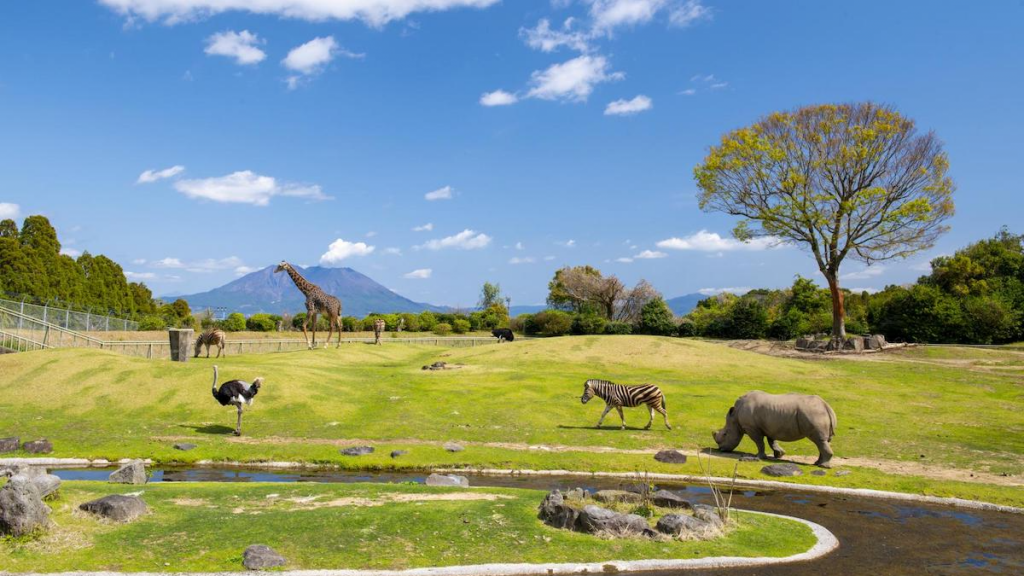 九州親子遊2024｜福岡/鹿兒島/熊本/大分10大親子景點！Sanrio樂園+福岡水族館+熊本熊辦公室