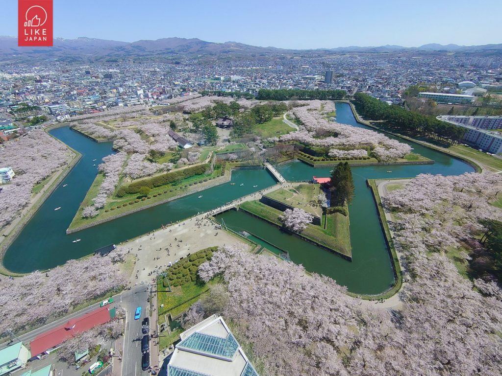 北海道自由行！｜洞爺+登別+白老高階享受式玩法｜函館札幌美食聖巡