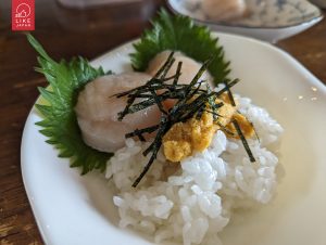 北海道自由行！｜洞爺+登別+白老高階享受式玩法｜函館札幌美食聖巡