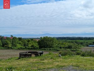 北海道自由行！｜洞爺+登別+白老高階享受式玩法｜函館札幌美食聖巡