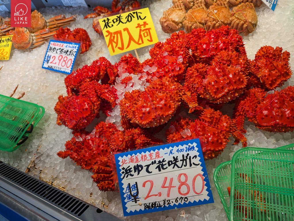 北海道自由行！｜洞爺+登別+白老高階享受式玩法｜函館札幌美食聖巡