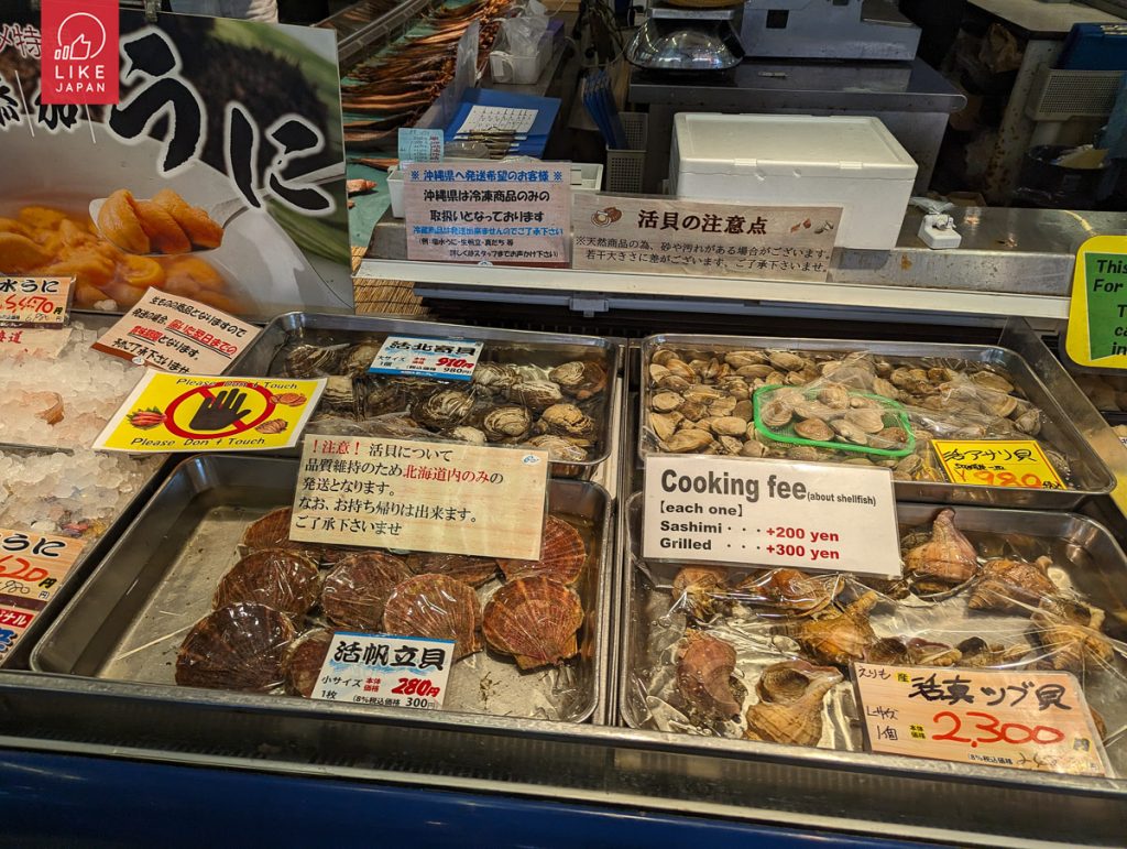 北海道自由行！｜洞爺+登別+白老高階享受式玩法｜函館札幌美食聖巡