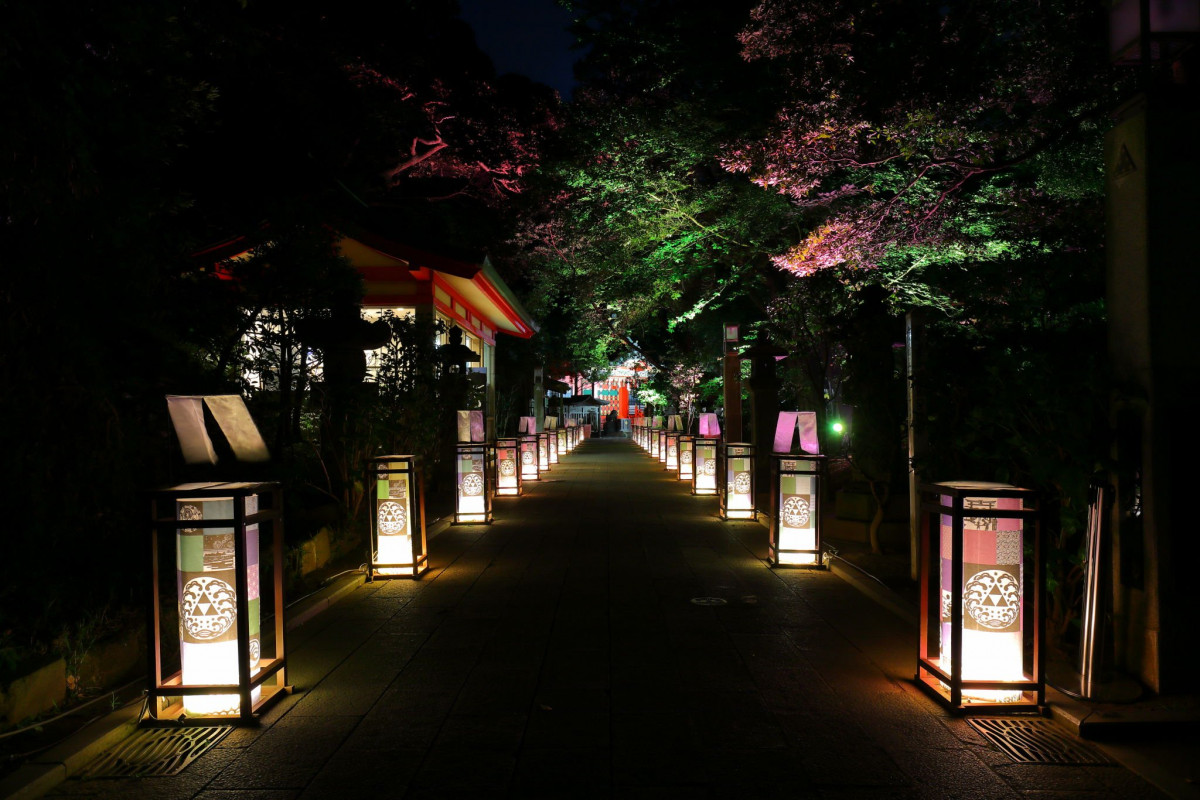 江之島景點2024｜夏日必去！江島神社「光之繪卷」夏夜光影藝術7.20登場