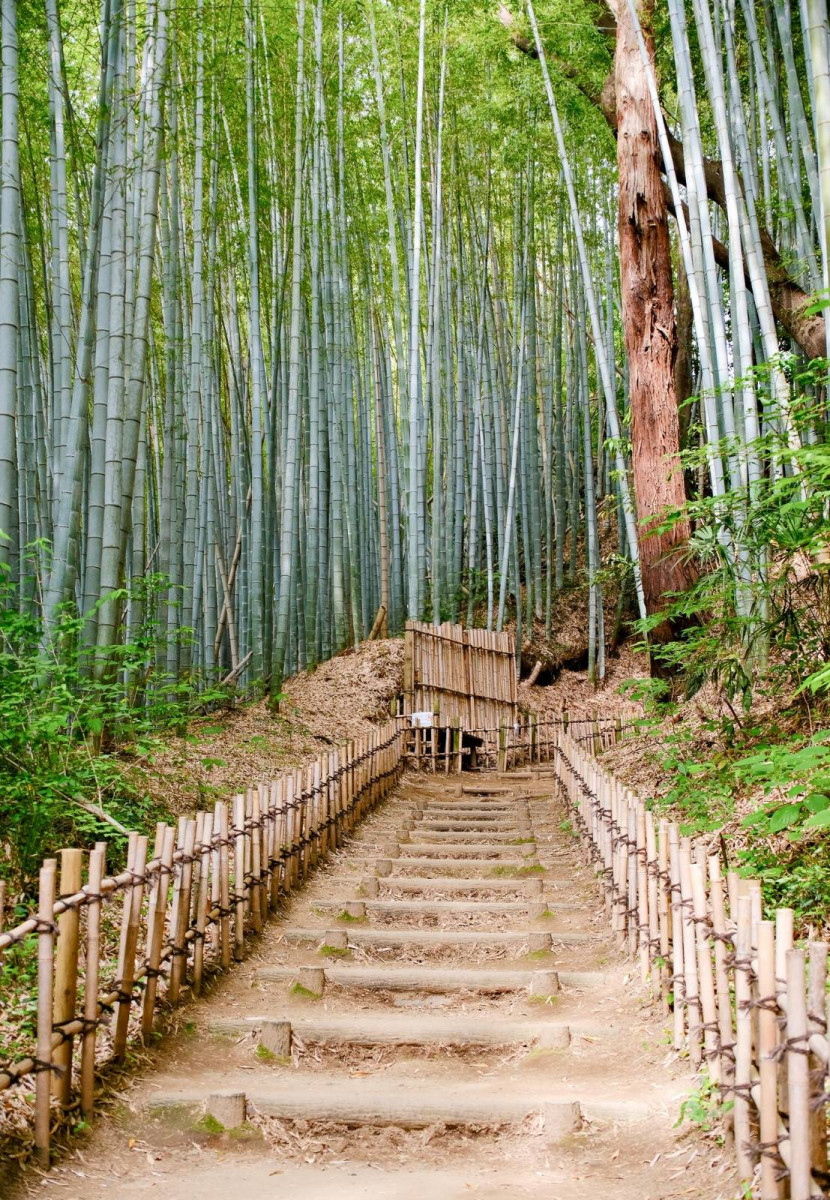 千葉縣景點攻略｜180度絕美海岸線/香取神宮/成田山 迪士尼以外的人氣自由行景點！