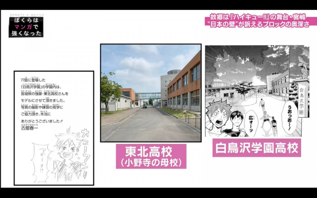 日本男排｜石川祐希、高橋藍 現實中的排球少年！與《排少》的牽絆 還有作者古館春一的寄語