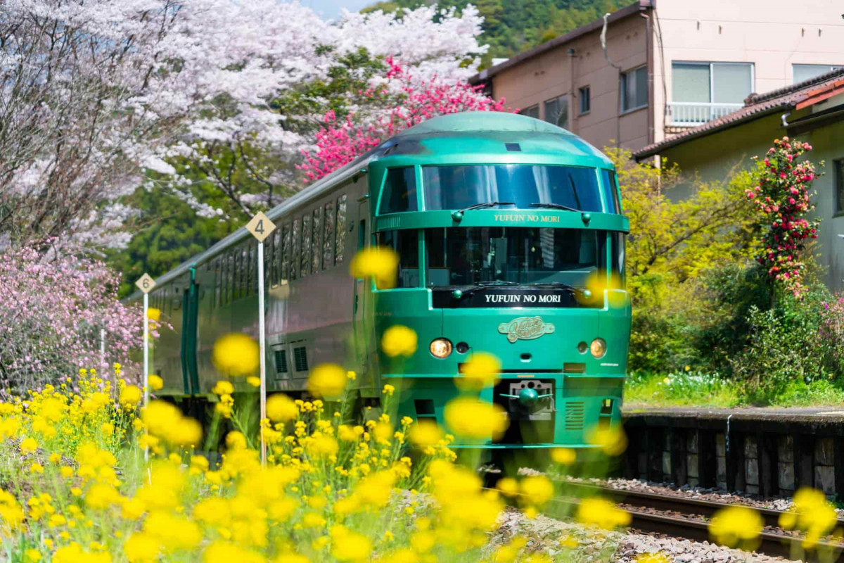 九州親子遊2024｜福岡/鹿兒島/熊本/大分10大親子景點！Sanrio樂園+福岡水族館+熊本熊辦公室