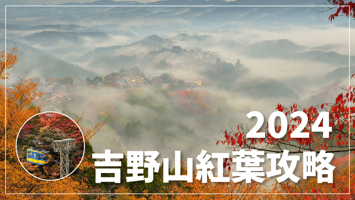 奈良吉野山紅葉一日遊｜吉野山賞楓聖地散策！雲海楓葉絕景、乘纜車走訪源義經昔日藏身地