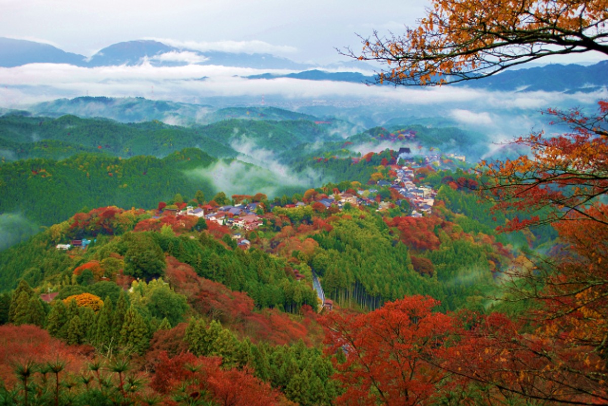 奈良吉野山紅葉一日遊｜賞楓聖地散策！雲海楓葉絕景、乘纜車走訪源義經昔日藏身地