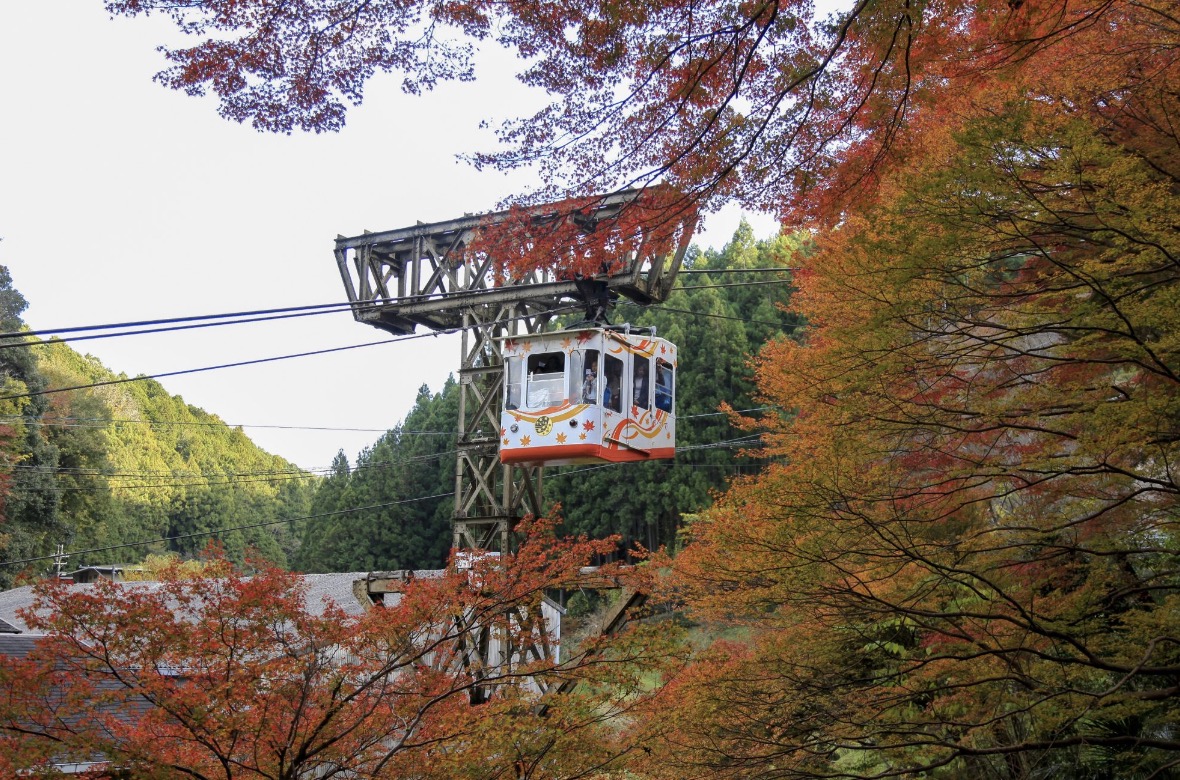 奈良吉野山紅葉一日遊｜賞楓聖地散策！雲海楓葉絕景、乘纜車走訪源義經昔日藏身地