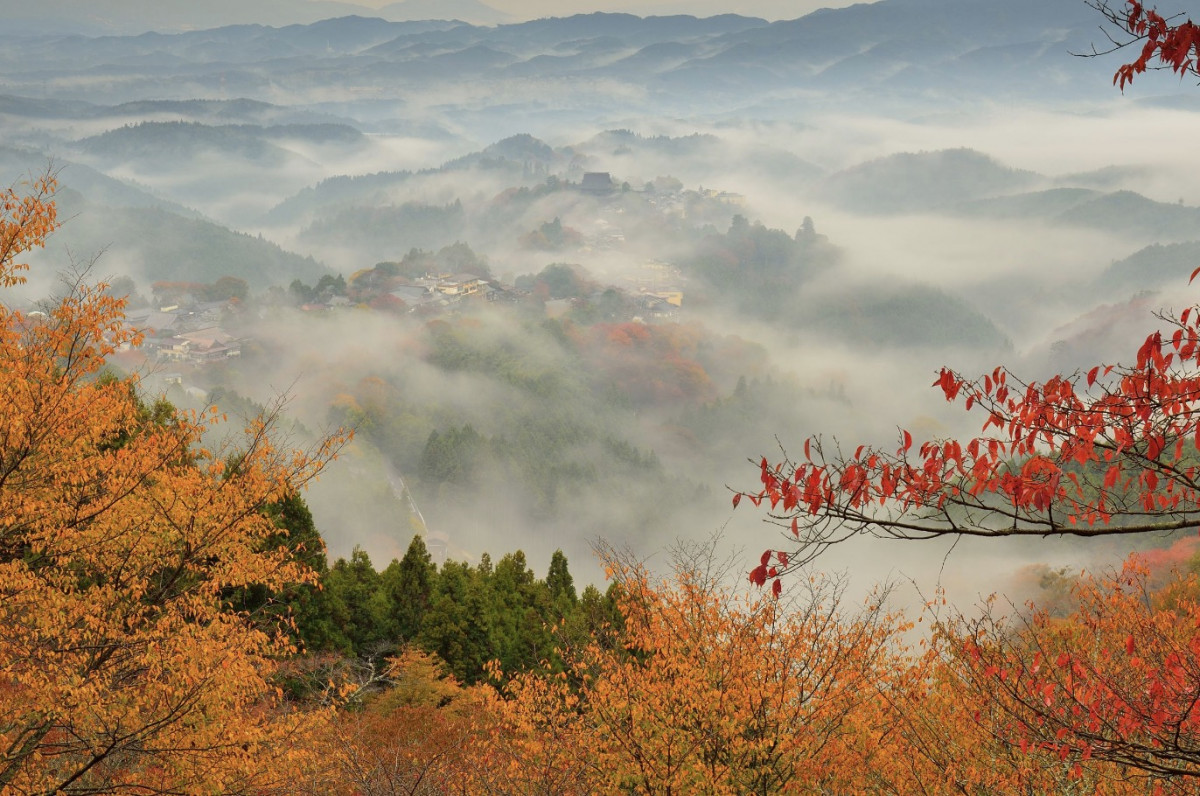 奈良吉野山紅葉一日遊｜賞楓聖地散策！雲海楓葉絕景、乘纜車走訪源義經昔日藏身地