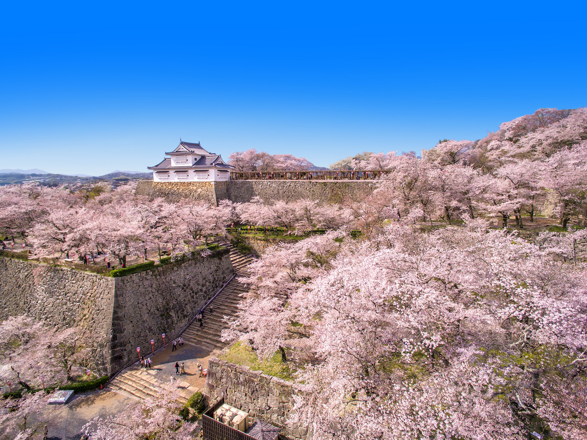 西日本自駕遊｜4日3夜開箱岡山廣島鳥取自然風光 地道餐廳 高質住宿  隈研吾美術館