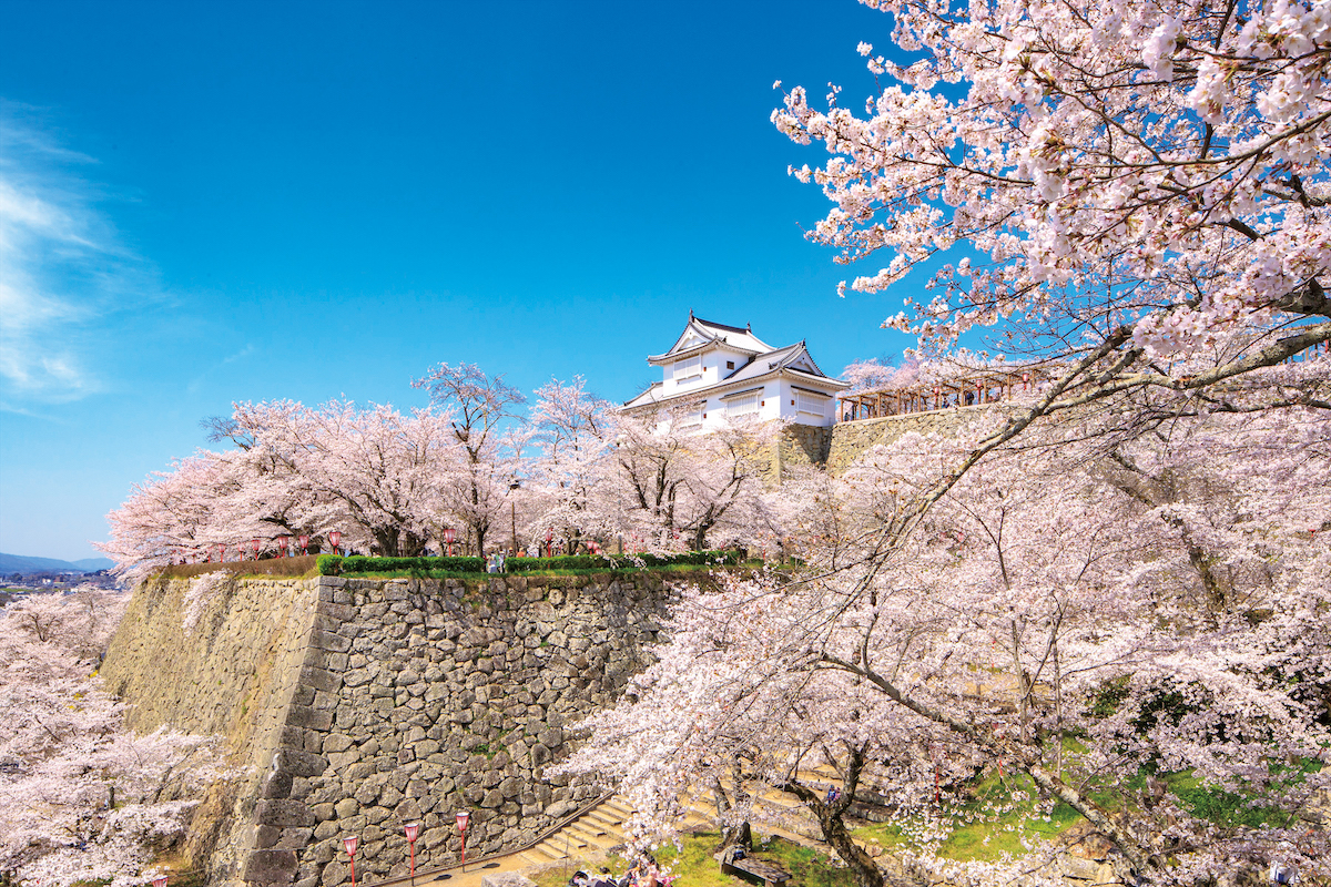 西日本自駕遊｜4日3夜開箱岡山廣島鳥取自然風光 地道餐廳 高質住宿  隈研吾美術館