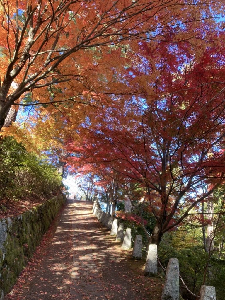 奈良吉野山紅葉一日遊｜賞楓聖地散策！雲海楓葉絕景、乘纜車走訪源義經昔日藏身地