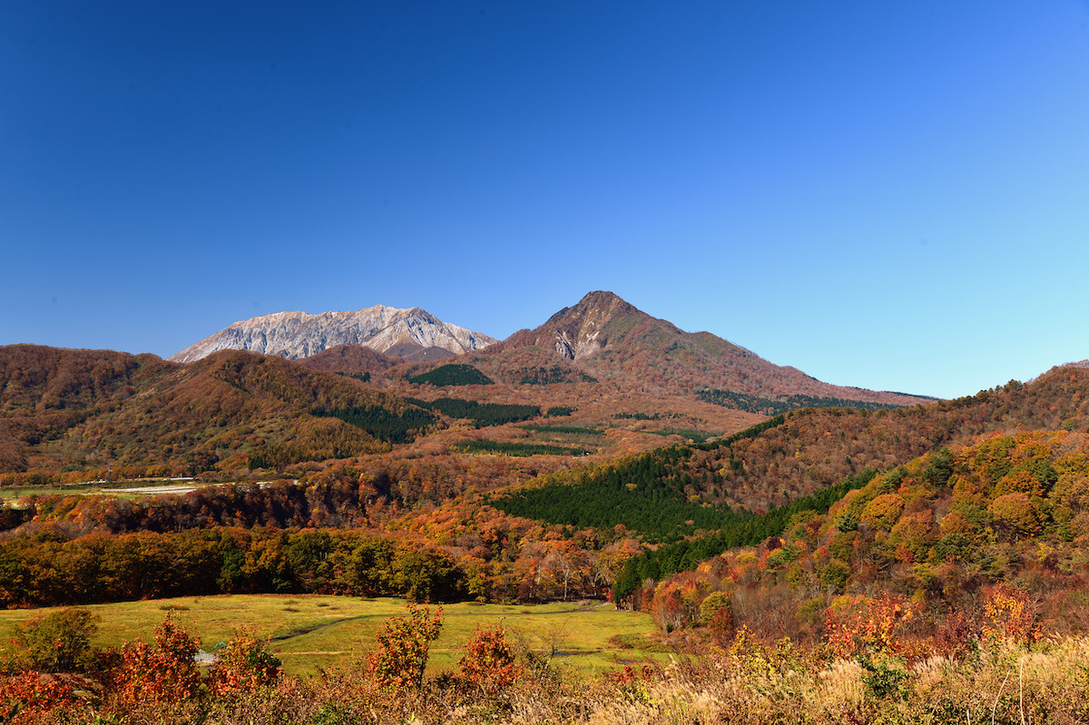 西日本自駕遊｜4日3夜開箱岡山廣島鳥取自然風光 地道餐廳 高質住宿  隈研吾美術館