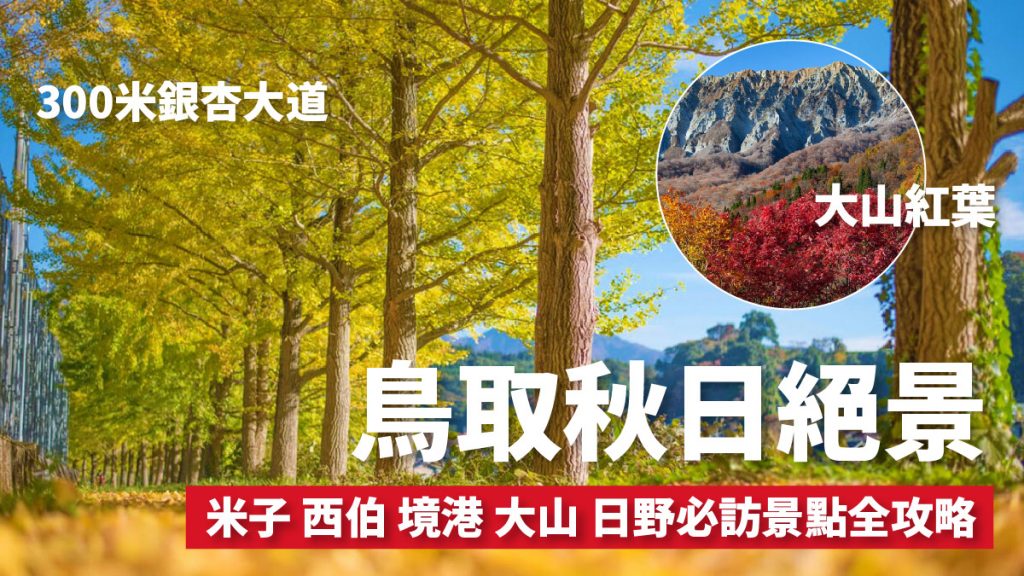 鳥取紅葉銀杏絕景2024｜米子 西伯 境港 大山 日野8大賞楓景點推薦 銀杏並木大道 觀賞期10月起