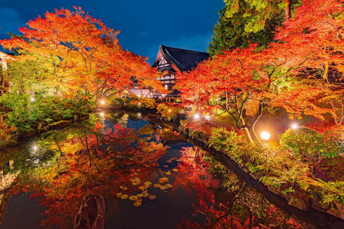 京都紅葉情報預測2024｜夜間限定！秋季9大賞楓景點/紅葉亮燈 必到二条城、北野天滿宮