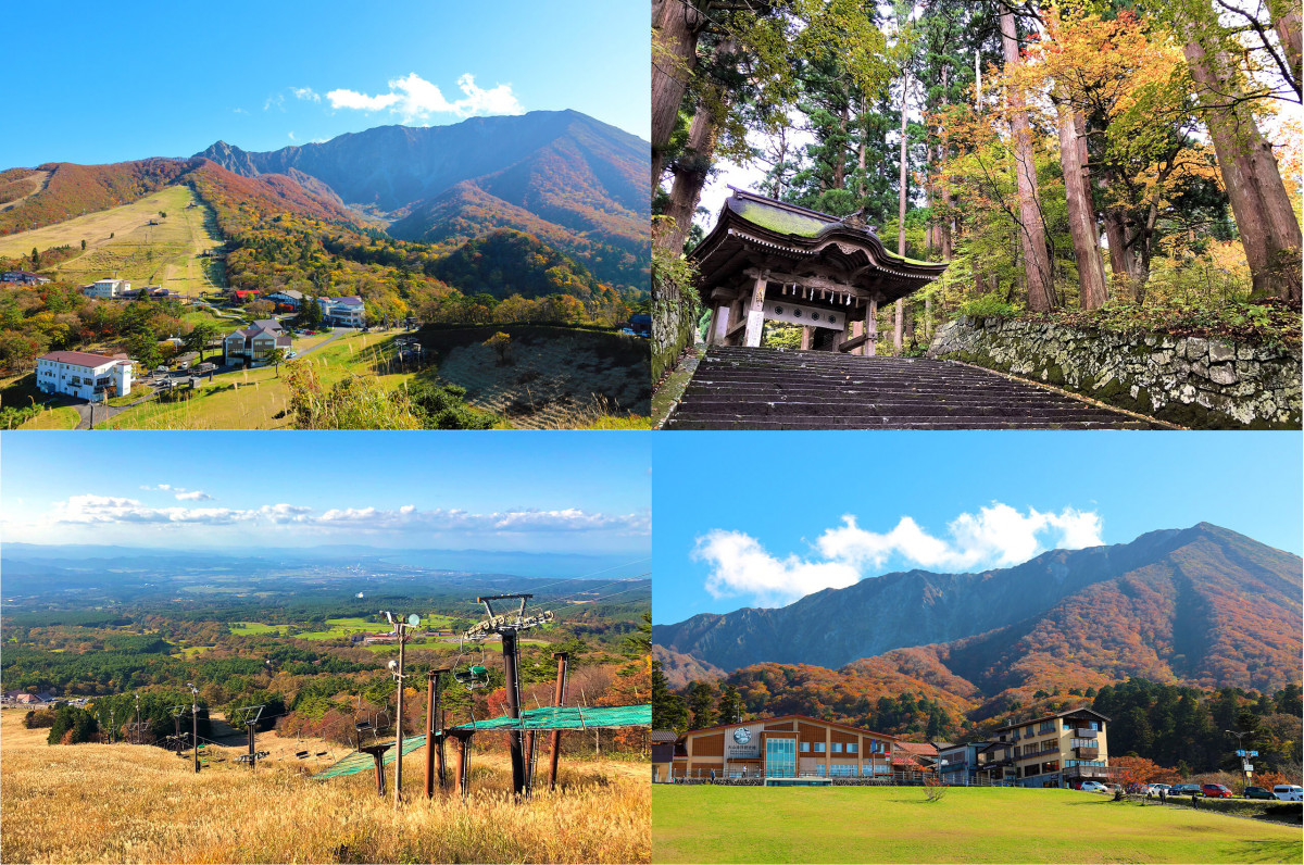 鳥取米子紅葉2024｜8大賞楓景點推薦！觀賞期10月起 大神山神社奥宮/ 銀杏並木大道/石霞溪