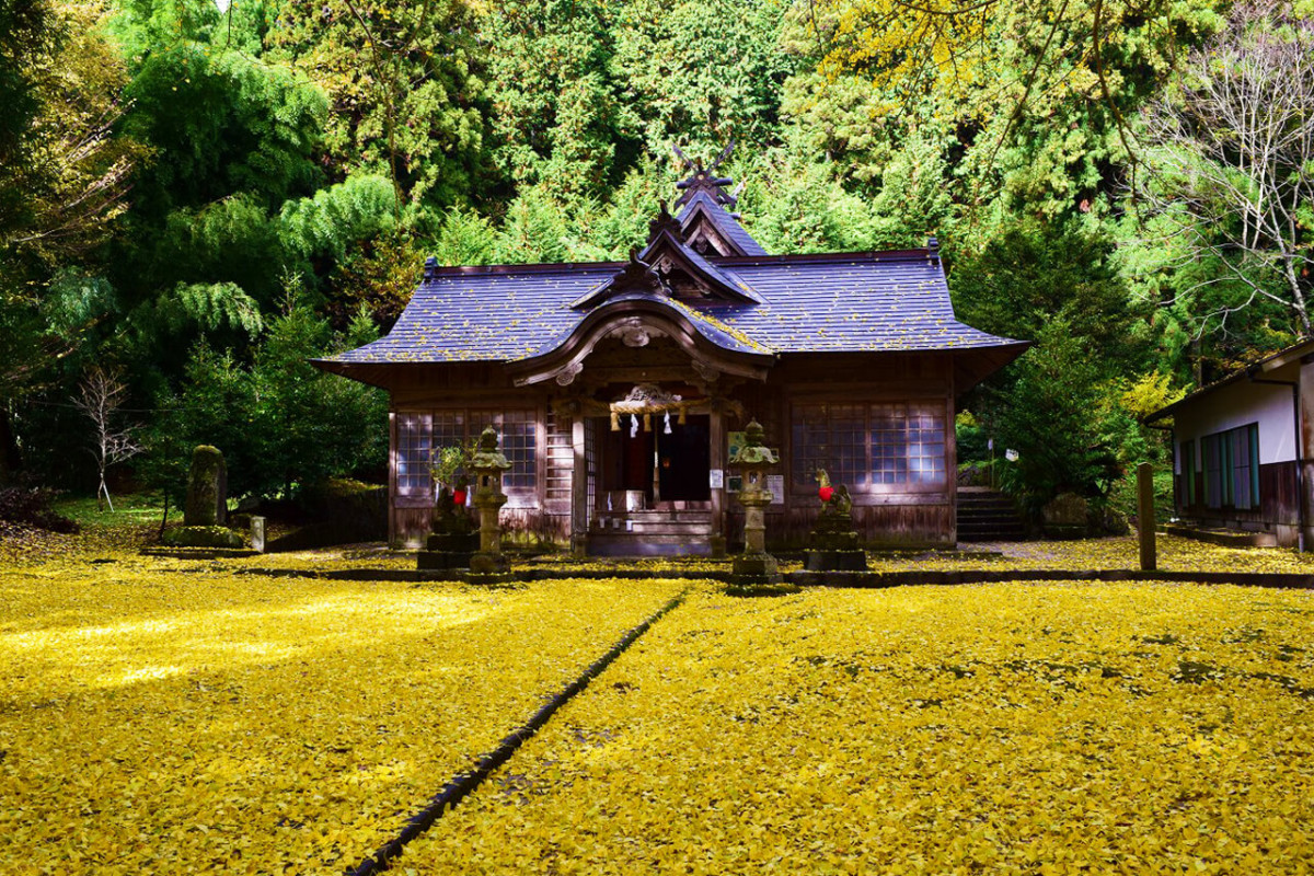 鳥取米子紅葉2024｜8大賞楓景點推薦！觀賞期10月起 大神山神社奥宮/ 銀杏並木大道/石霞溪