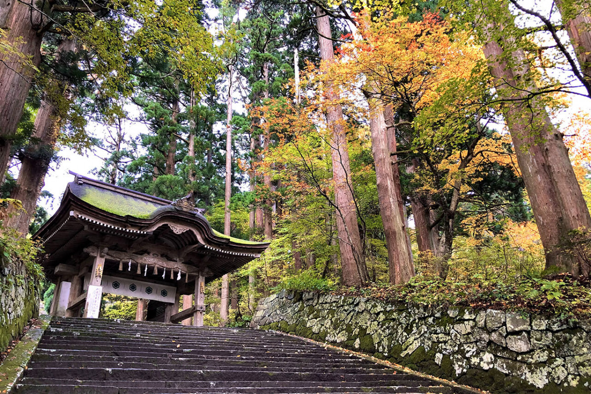 鳥取米子紅葉2024｜8大賞楓景點推薦！觀賞期10月起 大神山神社奥宮/ 銀杏並木大道/石霞溪