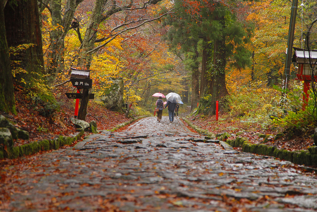 鳥取米子紅葉2024｜8大賞楓景點推薦！觀賞期10月起 大神山神社奥宮/ 銀杏並木大道/石霞溪