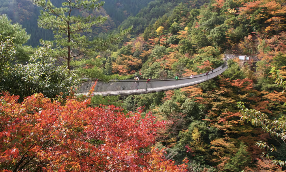 福岡紅葉2024時間預測！8大九州賞楓/紅葉景點＋點燈活動 高千穂峽、鹿兒島霧島、秋月城跡