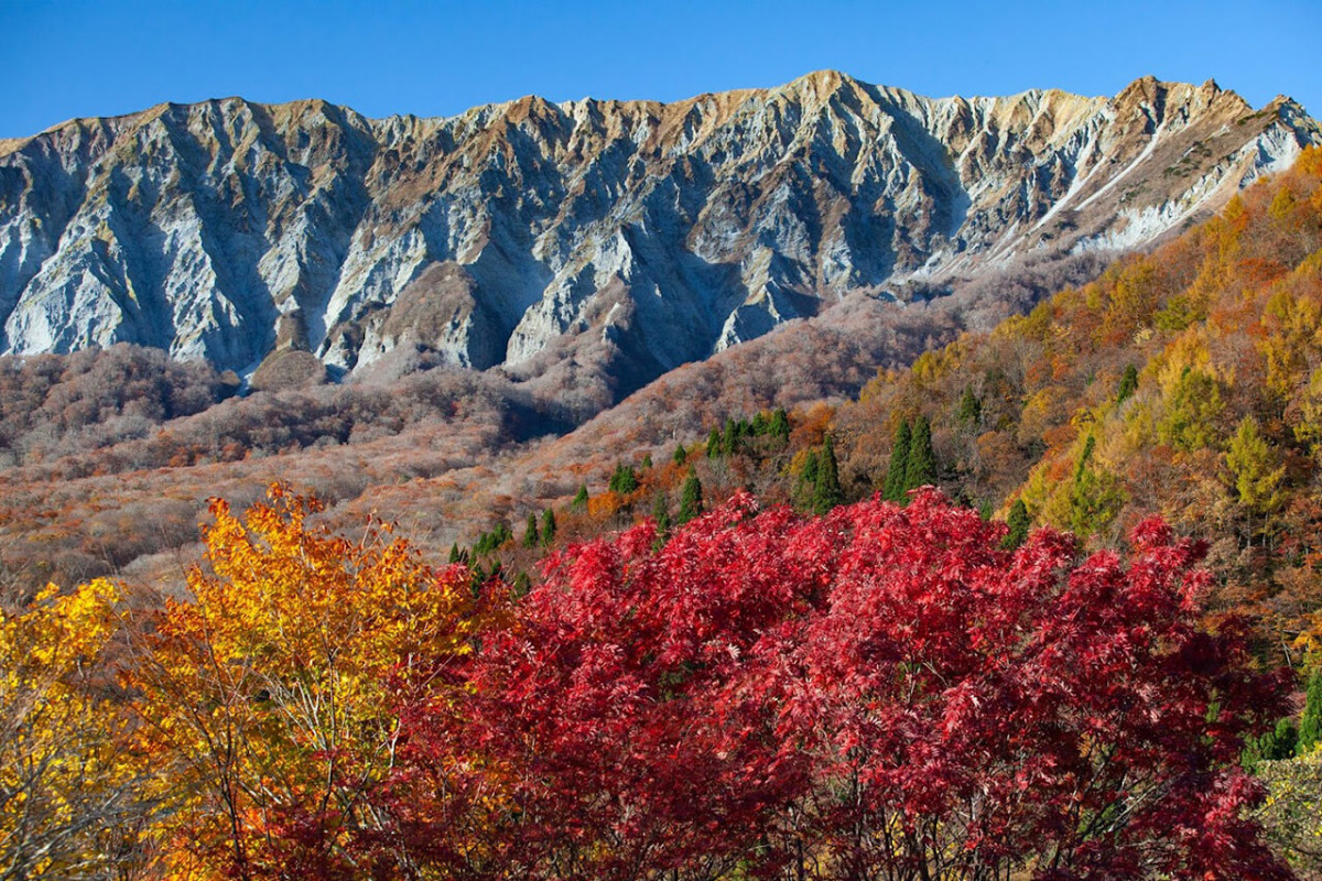 鳥取米子紅葉2024｜8大賞楓景點推薦！觀賞期10月起 大神山神社奥宮/ 銀杏並木大道/石霞溪