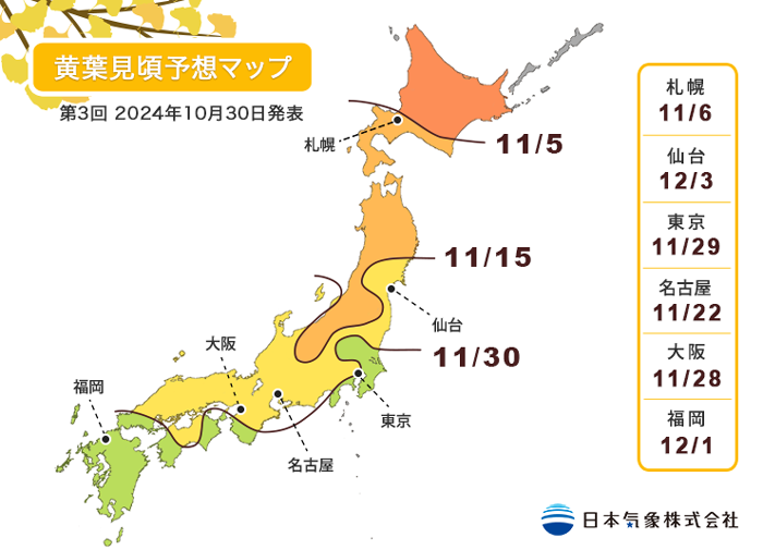 東京銀杏時間 2024｜10大秋季必賞地點 明治神宮外苑/昭和記念公園｜附日本銀杏時間預測