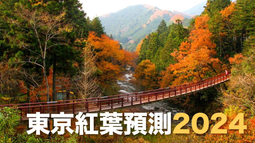 東京紅葉時間預測2024｜最快10月尾開始！7大東京賞楓景點  秋季限定絕美秘境行程