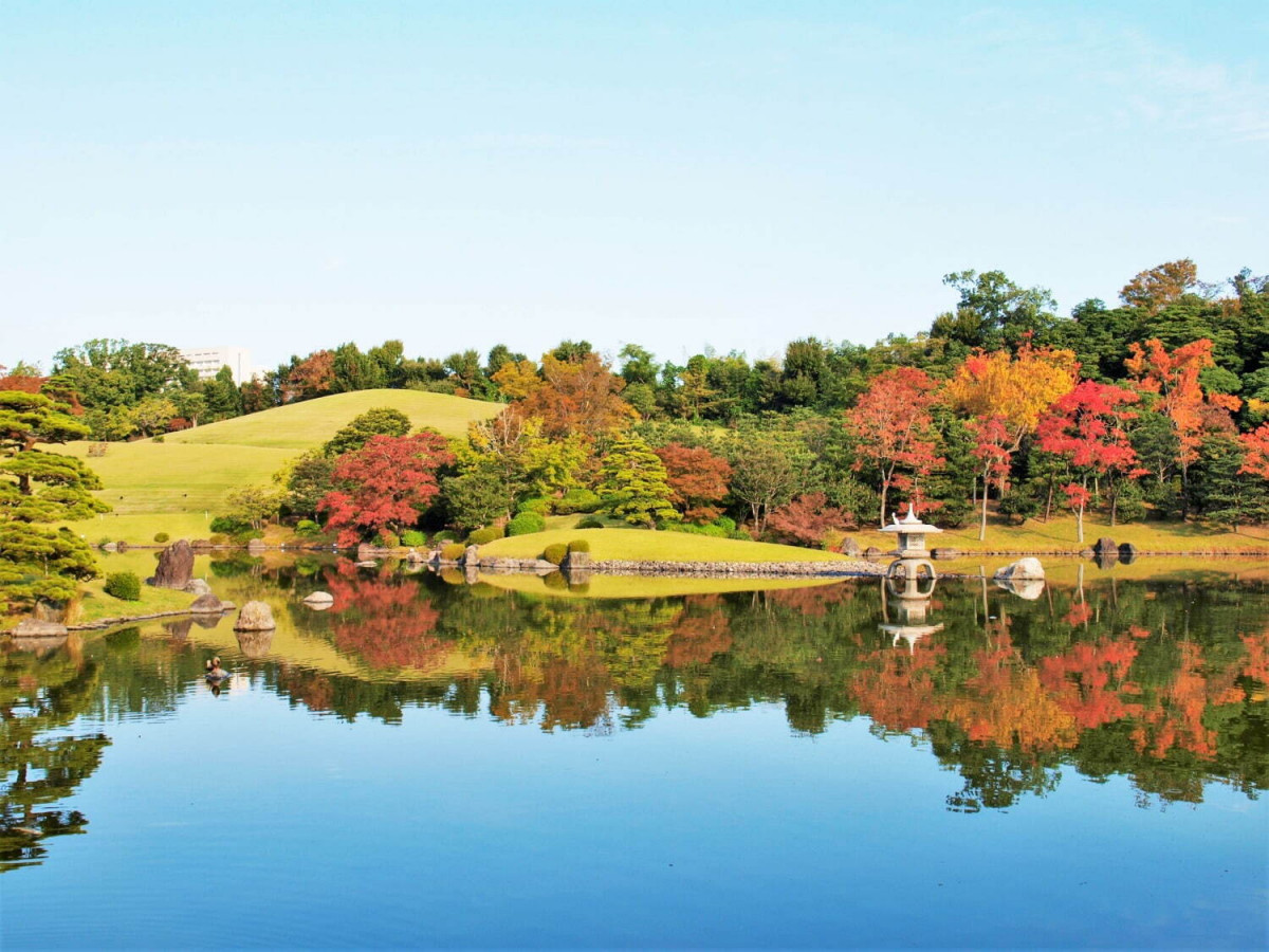 大阪紅葉2024｜大阪又一賞楓好去處！萬博記念公園紅葉＋傳統茶室新體驗