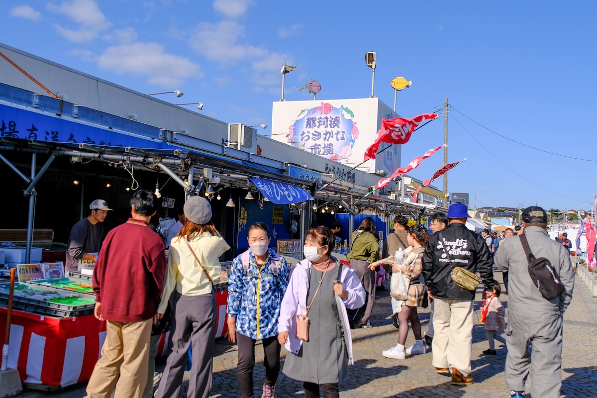 茨城一日遊｜速報！茨城國營常陸海濱公園掃把草觀賞期 那珂湊漁市場介紹