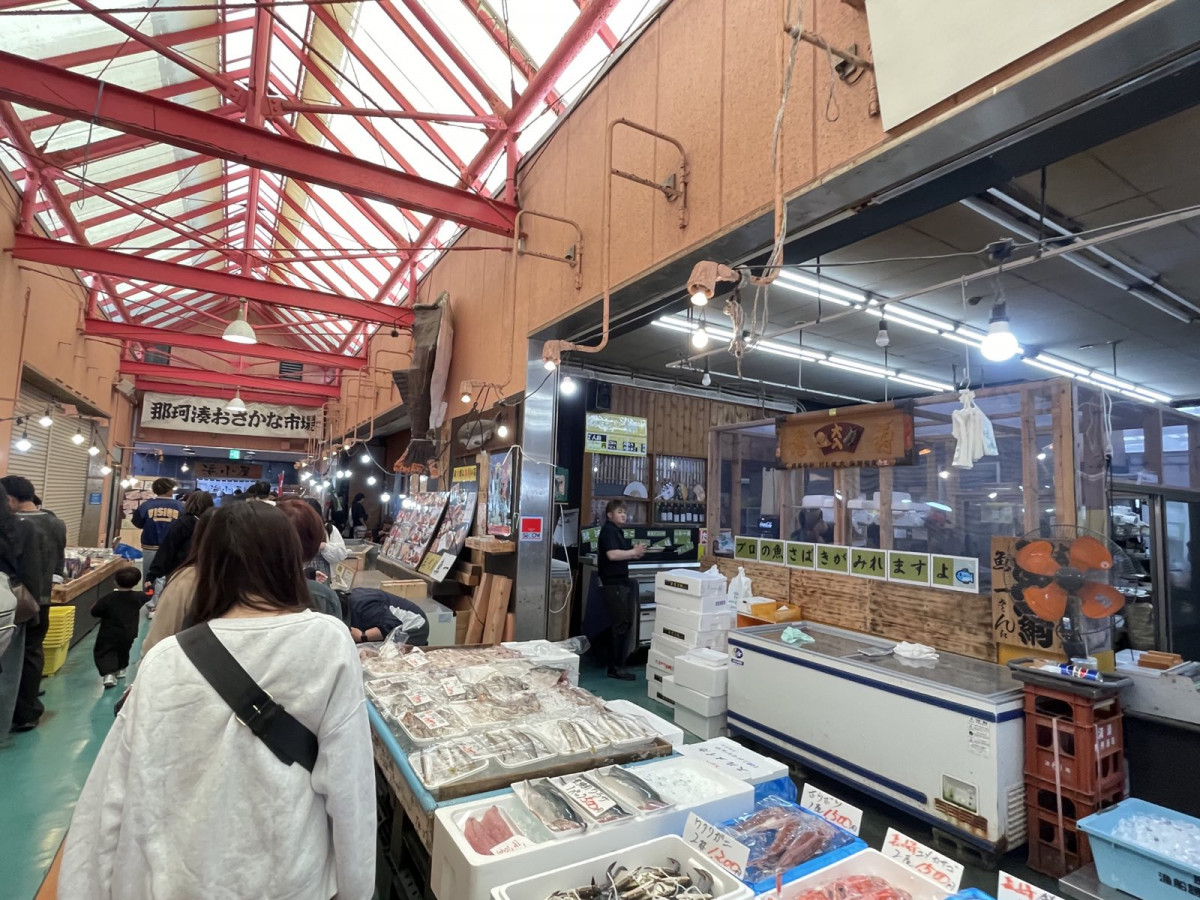 茨城一日遊｜速報！茨城國營常陸海濱公園掃把草觀賞期 那珂湊漁市場介紹