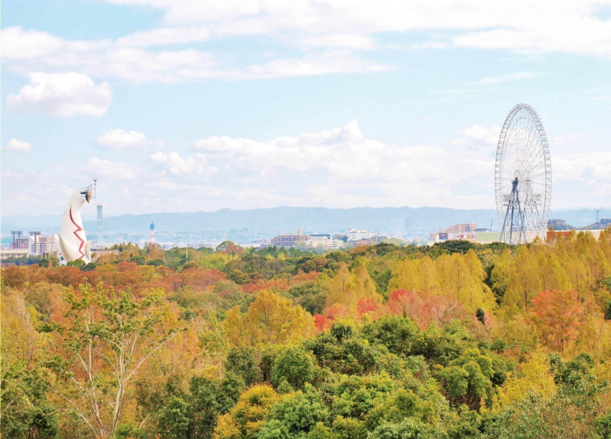 大阪紅葉2024｜大阪又一賞楓好去處！萬博記念公園紅葉＋傳統茶室新體驗