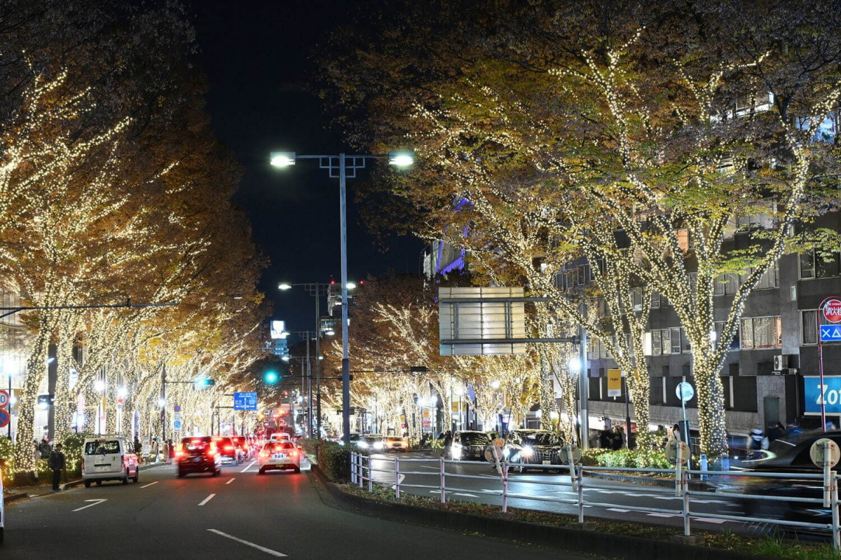 關東聖誕燈飾2024｜東京LED燈海 表參道浪漫燈飾大道 Super Mario 海洋奇緣主題聖誕亮燈（持續更新）