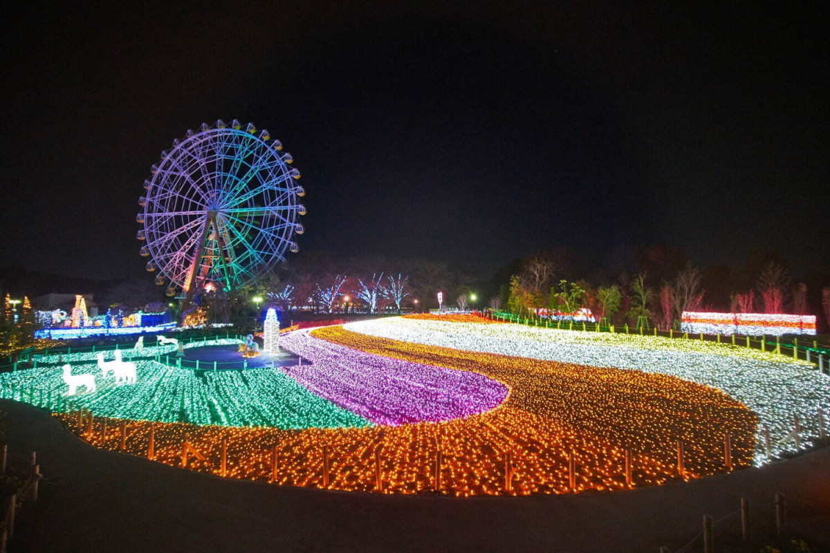 關東聖誕燈飾2024｜東京LED燈海 表參道浪漫燈飾大道 Super Mario 海洋奇緣主題聖誕亮燈（持續更新）