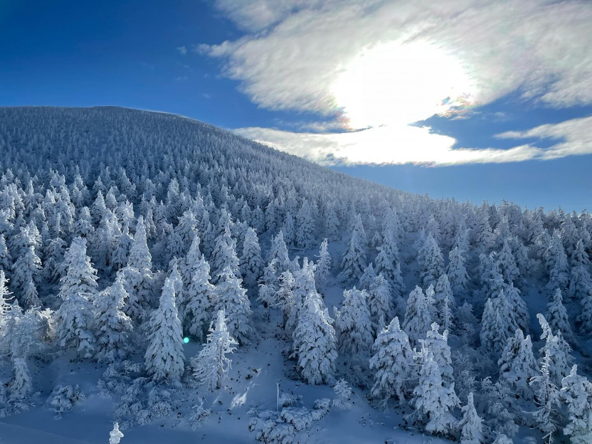 2025日本雪祭｜全國11個一生人必看的冬季絕景！藏王樹冰／小樽雪燈之路／雪旅籠燈祭