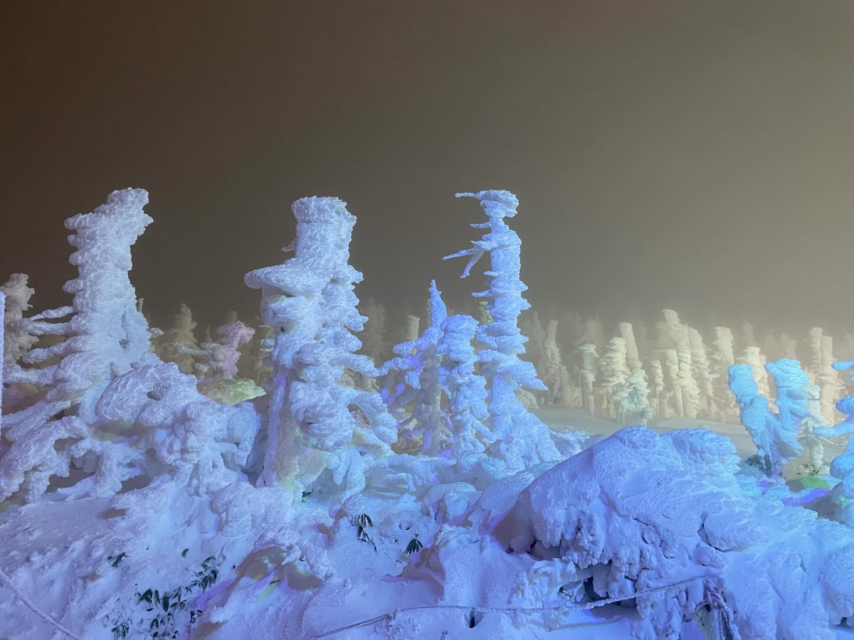 2025日本雪祭｜全國11個一生人必看的冬季絕景！藏王樹冰／小樽雪燈之路／雪旅籠燈祭